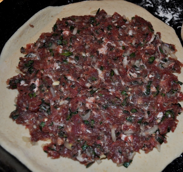 Medfouna (fotorecept) - obrázok 3