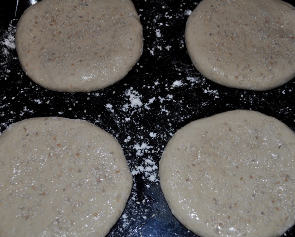 Medfouna (fotorecept) - obrázok 4