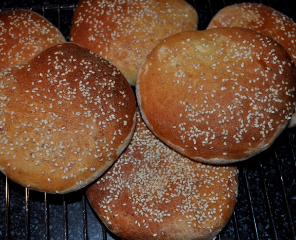 Medfouna (fotorecept) - obrázok 5