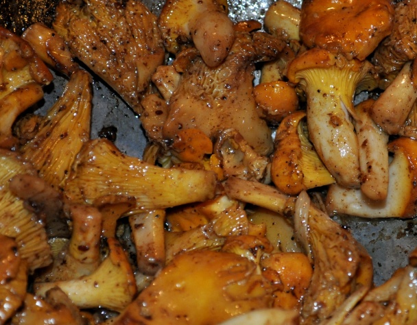 Karé na kuriatkach (fotorecept) - obrázok 3