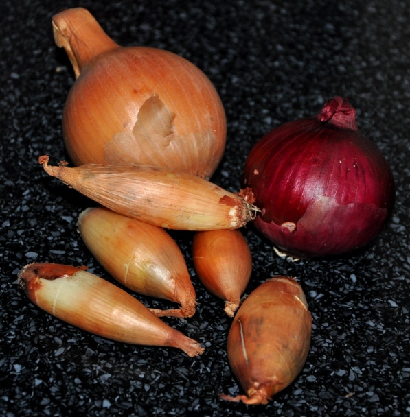 Srnec na tymiáne (fotorecept) - obrázok 2