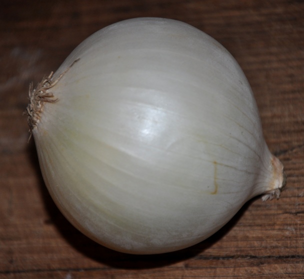 Srnec na tymiáne (fotorecept) - obrázok 4