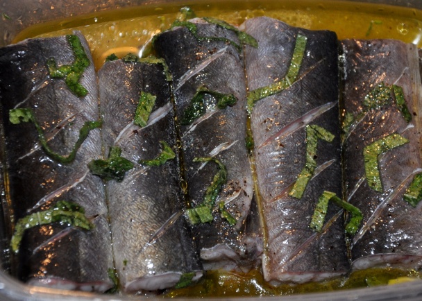 Úhor so šalviou (fotorecept) - obrázok 1