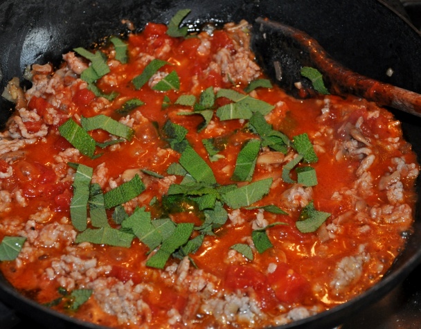 Lasagne (fotorecept)  - obrázok 1