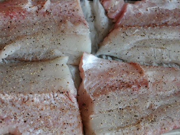 Zubáč na cuketke (fotorecept) - obrázok 1