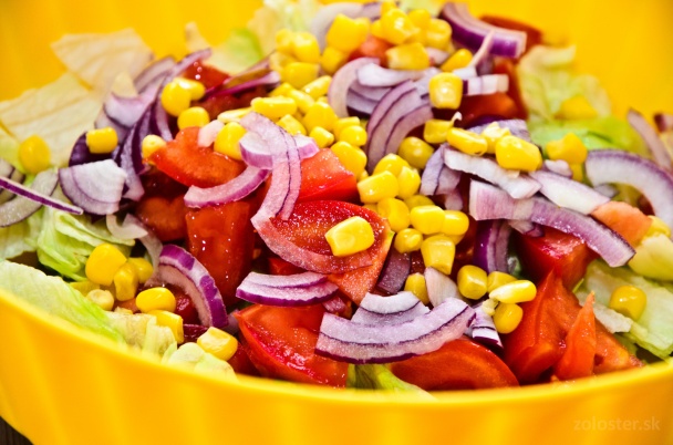 Gyros v tortile (fotorecept) - obrázok 1