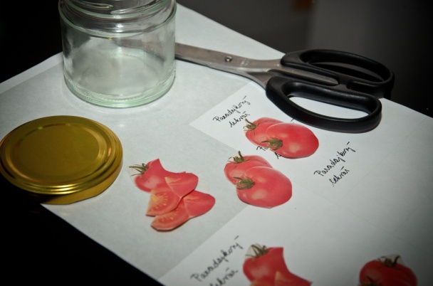 Paradajkový lekvár (fotorecept) - obrázok 4