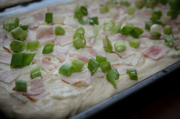 Podplamenník (fotorecept) - obrázok 3