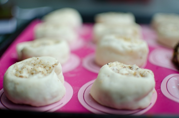 Orechové osie hniezda - obrázok 3