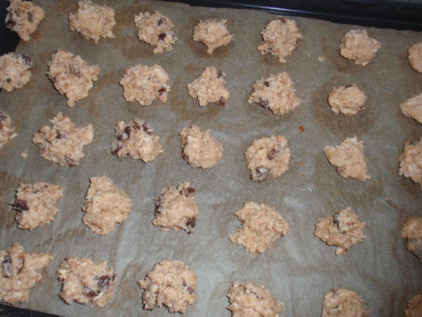 Mušie koláčiky - obrázok 2