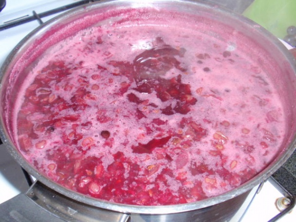 Sirup z hrozna - obrázok 4