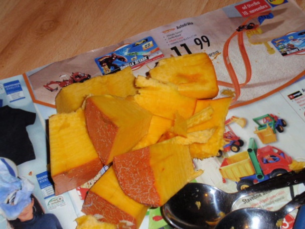 Kuracie kocky s tekvicou - obrázok 5