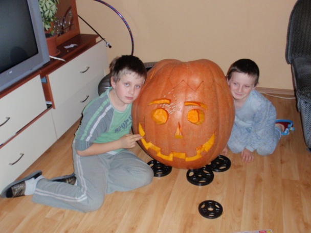 Kuracie kocky s tekvicou - obrázok 6