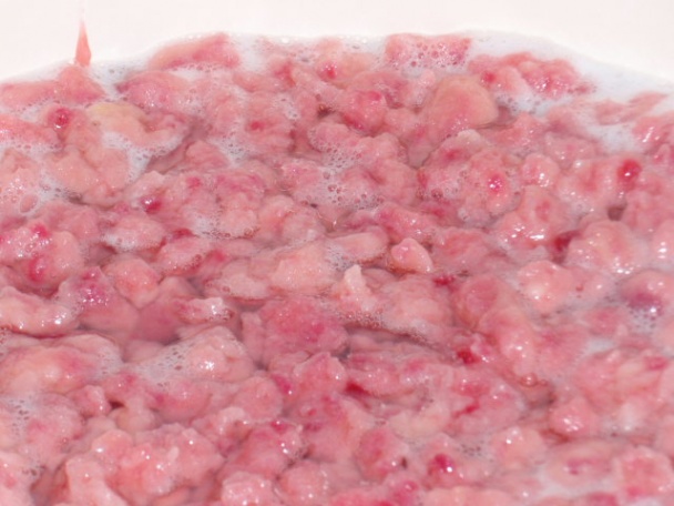 Cviklové halušky so syrovou omáčkou so špenátom - obrázok 7