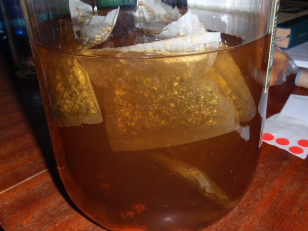 Becherovka domáca (zo sáčkov čaju) - obrázok 2