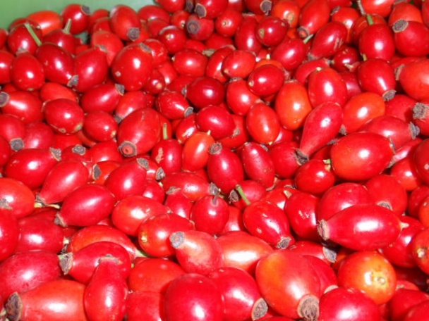 Šípkový džem (sirup) s potrebnými informáciami /fotorecept/ - obrázok 2