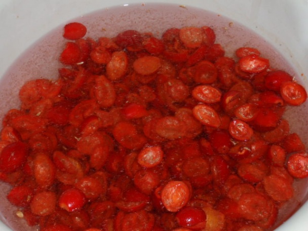 Šípkový džem (sirup) s potrebnými informáciami /fotorecept/ - obrázok 6
