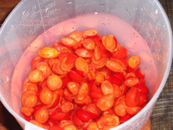 Šípkový džem (sirup) s potrebnými informáciami /fotorecept/ - obrázok 7
