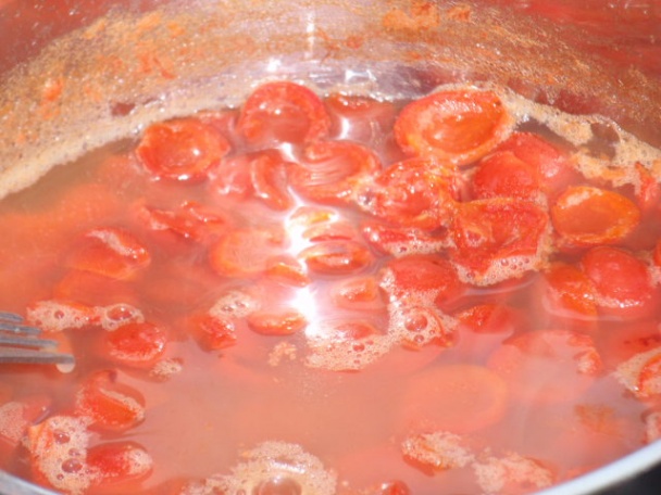 Šípkový džem (sirup) s potrebnými informáciami /fotorecept/ - obrázok 10