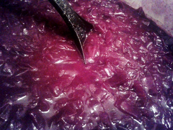 Pečená kačica na pive s viedenskou knedľou (fotorecept) - obrázok 5