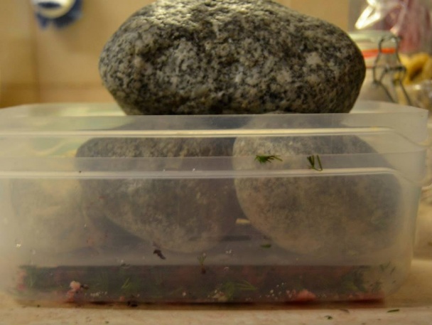 Gravlax z lososa podľa Jamieho Olivera - obrázok 1