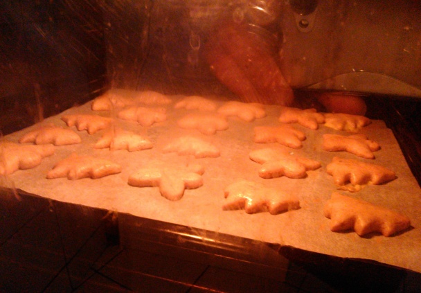 Medovníčky (fotorecept) - obrázok 8