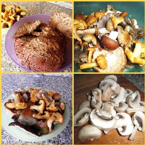 Vysmážaná bedľa jedlá, delikatesa (fotorecept) - obrázok 1