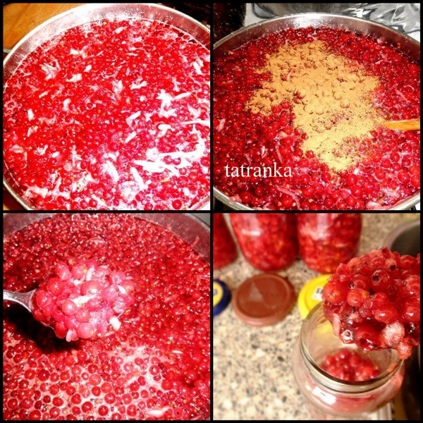 Falošný brusnicový kompót (fotorecept) - obrázok 3