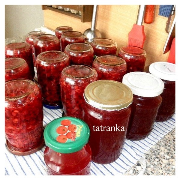 Falošný brusnicový kompót (fotorecept) - obrázok 7