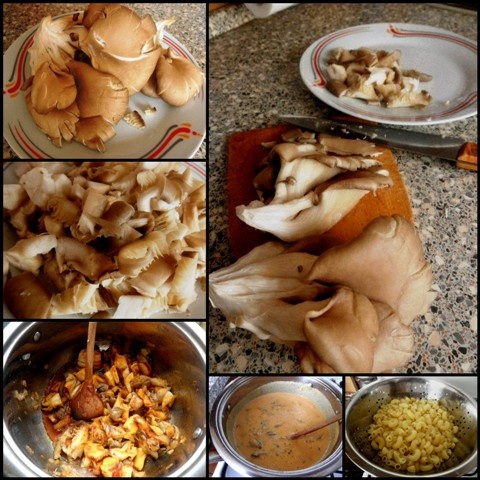 Paprikáš z hlivy ustricovej (fotorecept) - obrázok 7