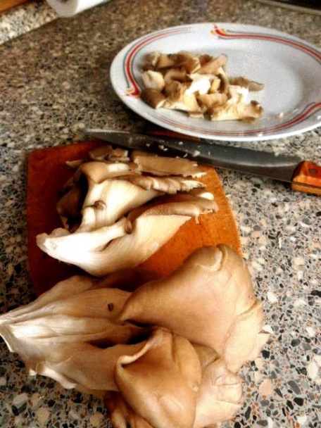 Hlivový paprikáš 2 (fotorecept) - obrázok 2