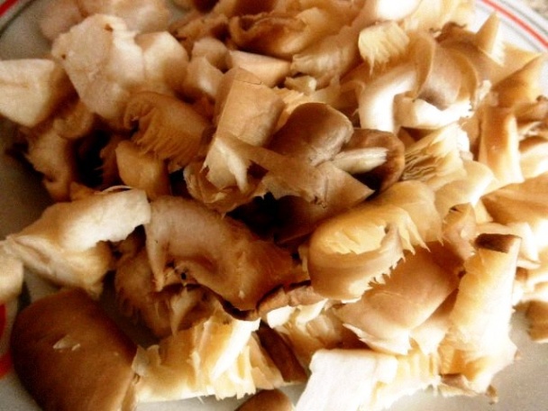 Hlivový paprikáš 2 (fotorecept) - obrázok 3