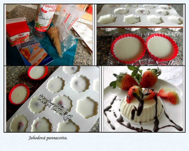 Pannacotta s acidkom (fotorecept) - obrázok 1