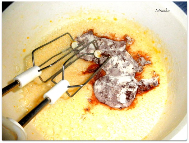 Kakaovo-tvarohová bábovka (fotorecept) - obrázok 5