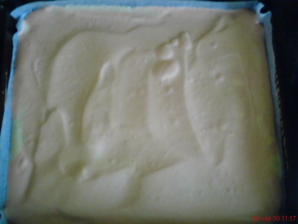 Punčové rezy (fotorecept) - obrázok 7