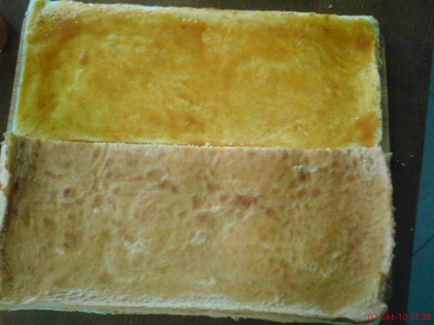 Punčové rezy (fotorecept) - obrázok 12