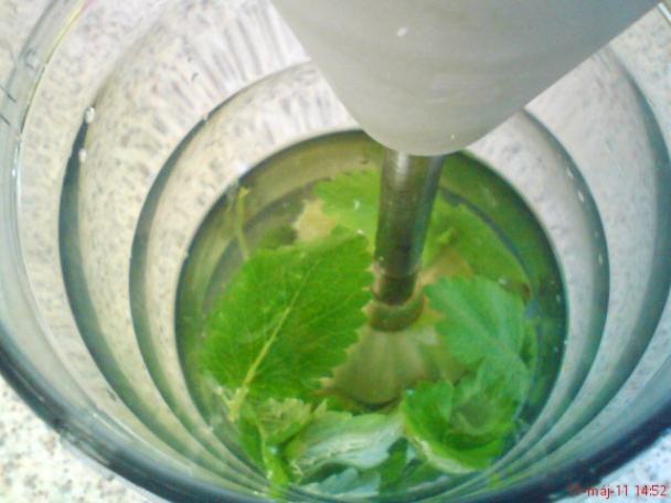 Medovková limonáda - obrázok 1