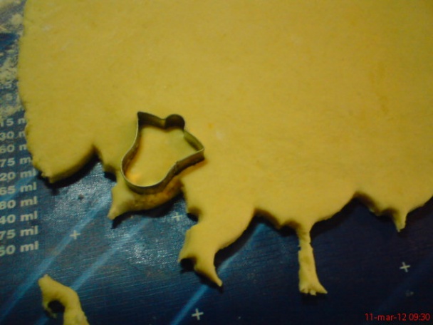 Tvarohovo-syrové tulipány (fotorecept) - obrázok 1