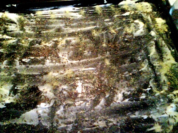 Zemiaky hore pupkom (fotorecept) - obrázok 2