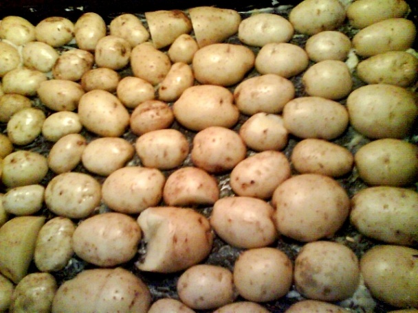 Zemiaky hore pupkom (fotorecept) - obrázok 4