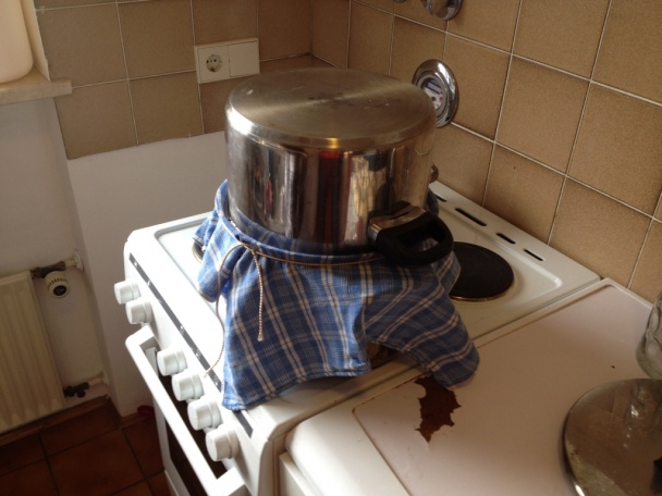 Buchty na pare à la Ganzula - obrázok 9