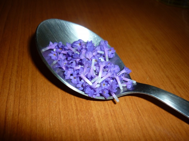 Levanduľová torta (fotorecept) - obrázok 1