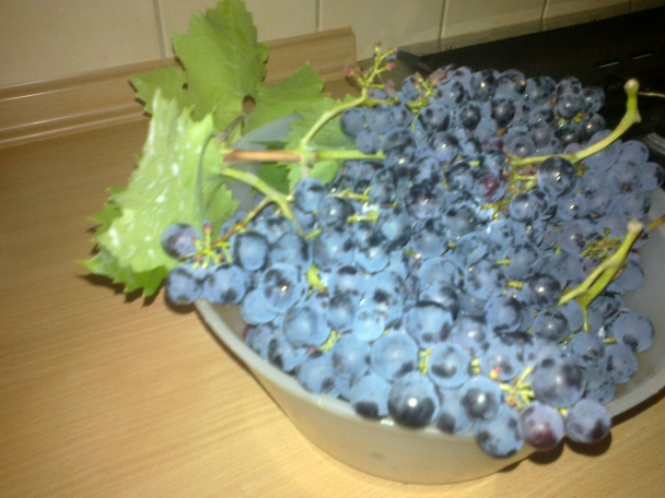 Hroznová štrúdľa (fotorecept) - obrázok 1