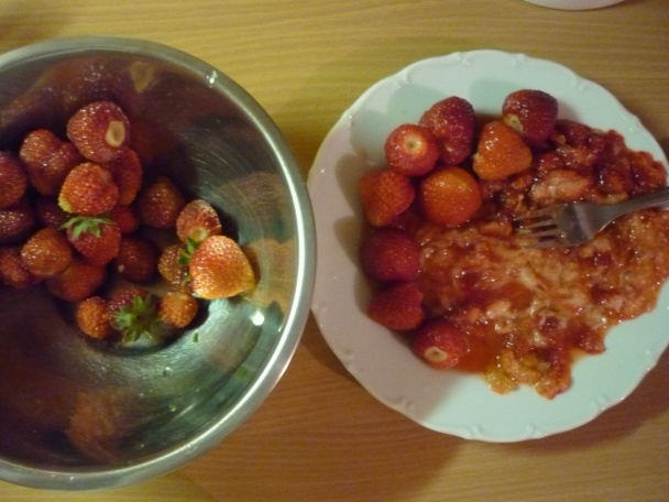 Lesné osvieženie - obrázok 1