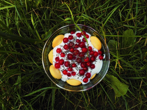 Ríbezľová pochúťka - obrázok 4