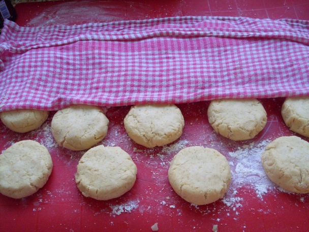 Kapustňáky-celiatické (fotorecept) - obrázok 11