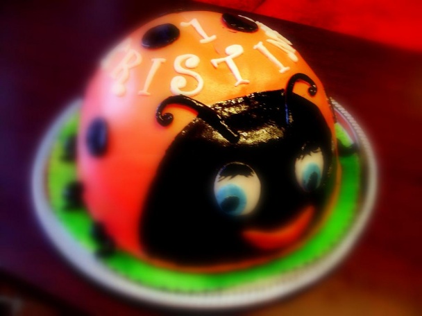 Lienka na 1. narodeninky  - obrázok 4