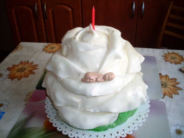 Torta ruža-pre vnučku (fotorecept) - obrázok 9