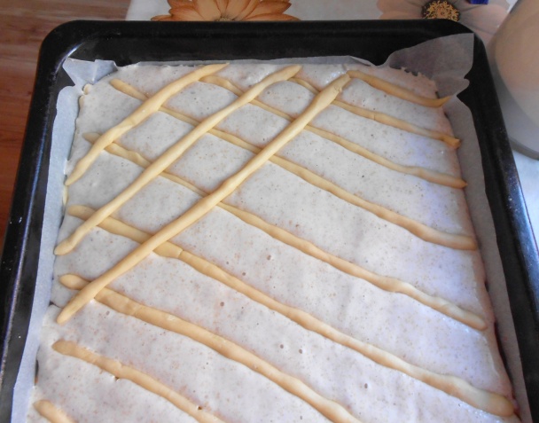 Mrežovník (fotorecept) - obrázok 8