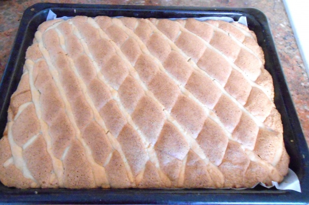 Mrežovník (fotorecept) - obrázok 9